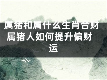 属猪和属什么生肖合财 属猪人如何提升偏财运