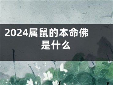 2024属鼠的本命佛是什么