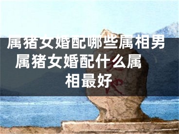 属猪女婚配哪些属相男  属猪女婚配什么属相最好
