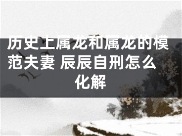 历史上属龙和属龙的模范夫妻 辰辰自刑怎么化解