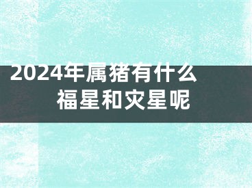 2024年属猪有什么福星和灾星呢