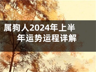 属狗人2024年上半年运势运程详解
