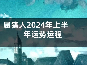 属猪人2024年上半年运势运程