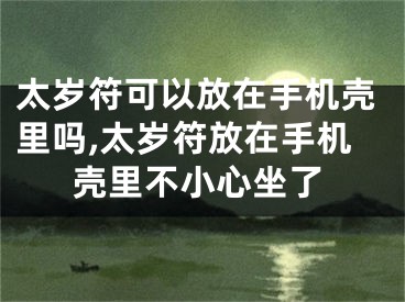 太岁符可以放在手机壳里吗,太岁符放在手机壳里不小心坐了
