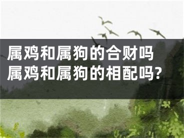 属鸡和属狗的合财吗 属鸡和属狗的相配吗?