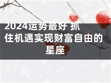 2024运势最好 抓住机遇实现财富自由的星座