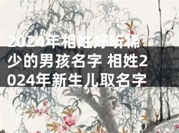 2024年相姓好听稀少的男孩名字 相姓2024年新生儿取名字