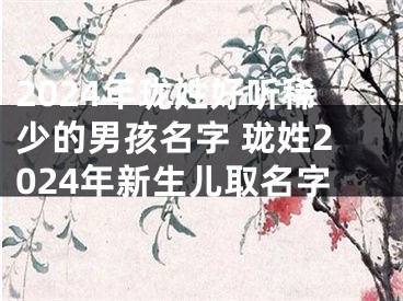 2024年珑姓好听稀少的男孩名字 珑姓2024年新生儿取名字