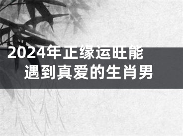 2024年正缘运旺能遇到真爱的生肖男