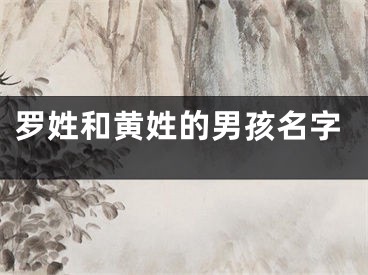 罗姓和黄姓的男孩名字