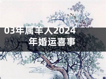 03年属羊人2024年婚运喜事
