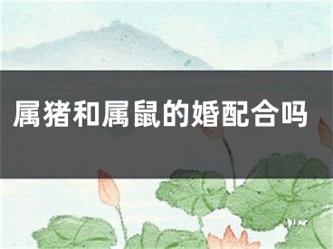 属猪和属鼠的婚配合吗