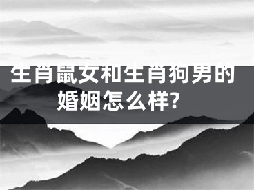 生肖鼠女和生肖狗男的婚姻怎么样?