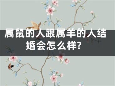 属鼠的人跟属羊的人结婚会怎么样?