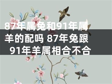 87年属兔和91年属羊的配吗 87年兔跟91年羊属相合不合