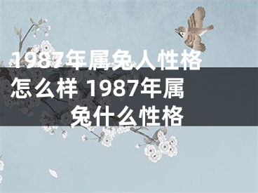 1987年属兔人性格怎么样 1987年属兔什么性格
