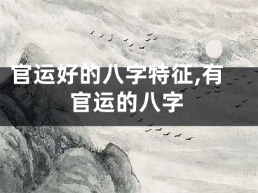 官运好的八字特征,有官运的八字