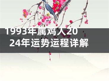 1993年属鸡人2024年运势运程详解