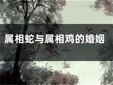 属相蛇与属相鸡的婚姻