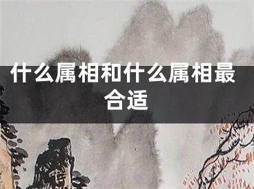 什么属相和什么属相最合适