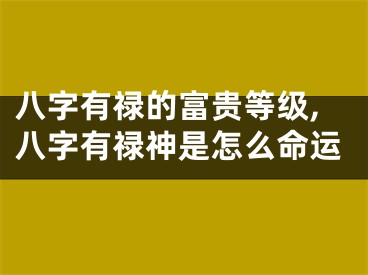 八字有禄的富贵等级,八字有禄神是怎么命运