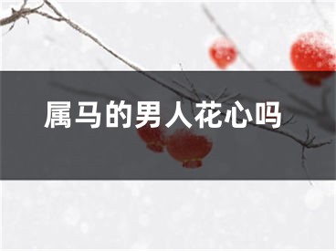 属马的男人花心吗