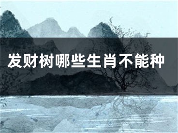 发财树哪些生肖不能种