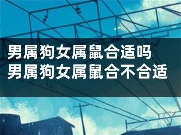男属狗女属鼠合适吗 男属狗女属鼠合不合适