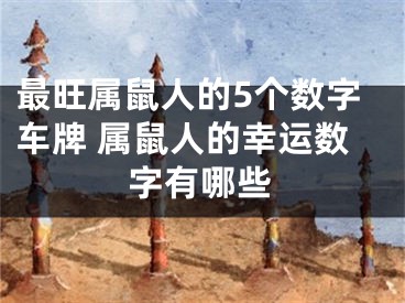 最旺属鼠人的5个数字车牌 属鼠人的幸运数字有哪些