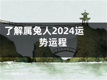 了解属兔人2024运势运程