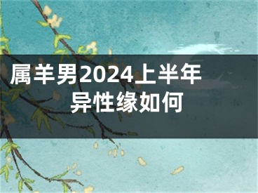 属羊男2024上半年异性缘如何
