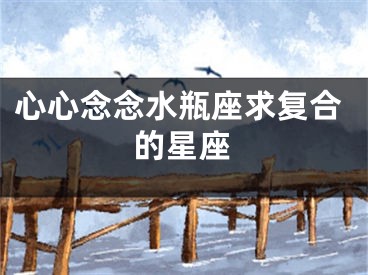 心心念念水瓶座求复合的星座