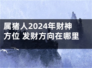 属猪人2024年财神方位 发财方向在哪里