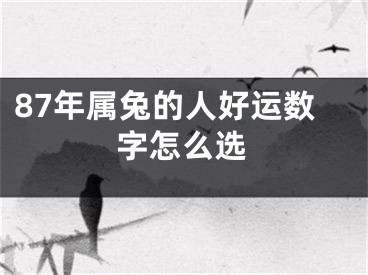 87年属兔的人好运数字怎么选