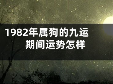 1982年属狗的九运期间运势怎样