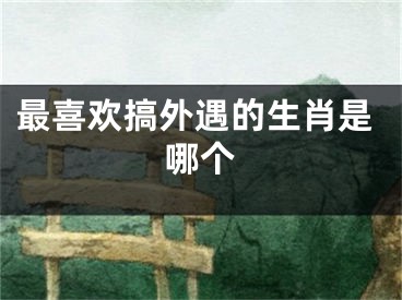 最喜欢搞外遇的生肖是哪个