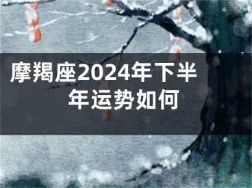 摩羯座2024年下半年运势如何