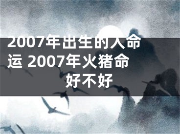 2007年出生的人命运 2007年火猪命好不好
