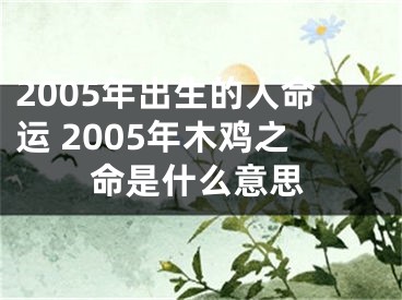 2005年出生的人命运 2005年木鸡之命是什么意思
