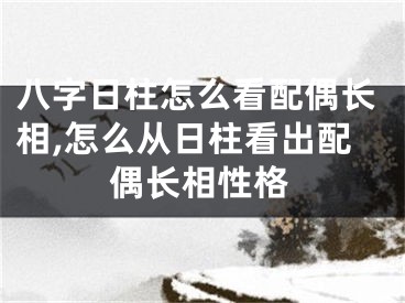 八字日柱怎么看配偶长相,怎么从日柱看出配偶长相性格