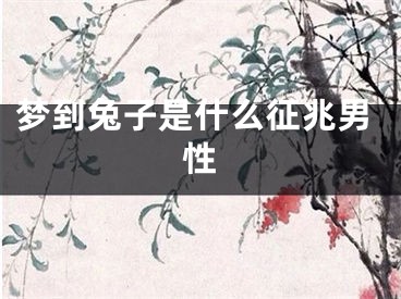 梦到兔子是什么征兆男性