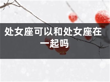 处女座可以和处女座在一起吗