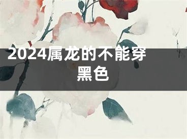 2024属龙的不能穿黑色