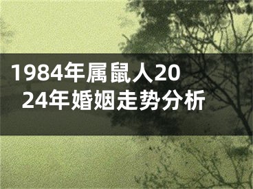 1984年属鼠人2024年婚姻走势分析