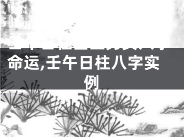 壬午日柱出生男女八字命运,壬午日柱八字实例