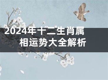 2024年十二生肖属相运势大全解析