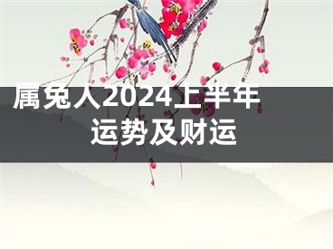 属兔人2024上半年运势及财运