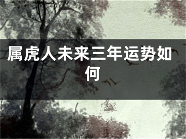 属虎人未来三年运势如何