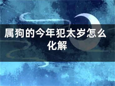 属狗的今年犯太岁怎么化解