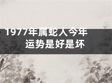 1977年属蛇人今年运势是好是坏
